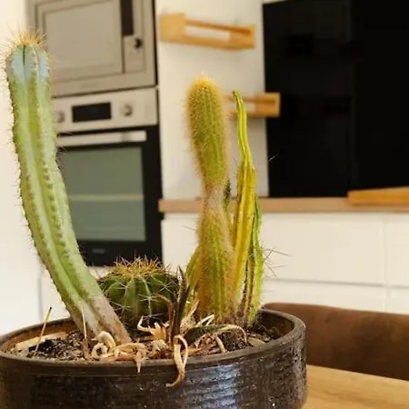 Вилла Maudroume